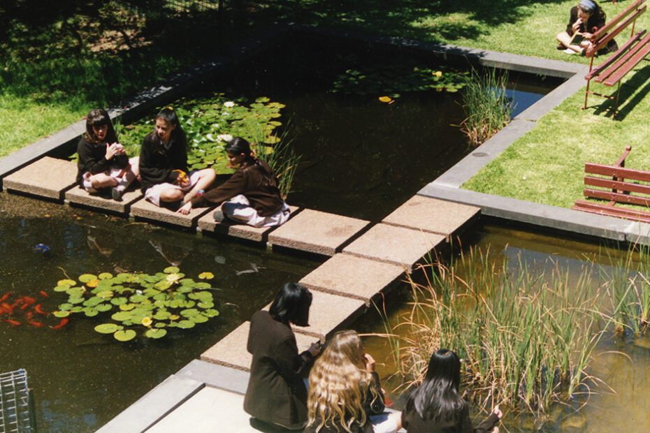 The old fish pond featured image
