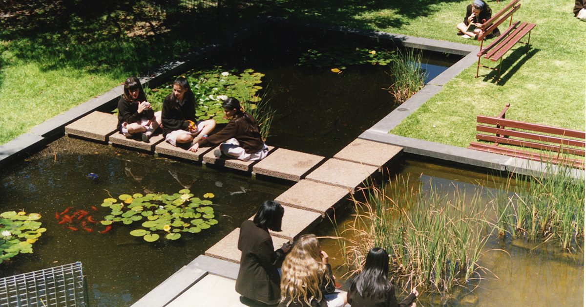 The old fish pond featured image