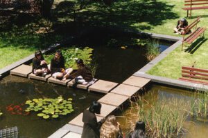 Fish Pond