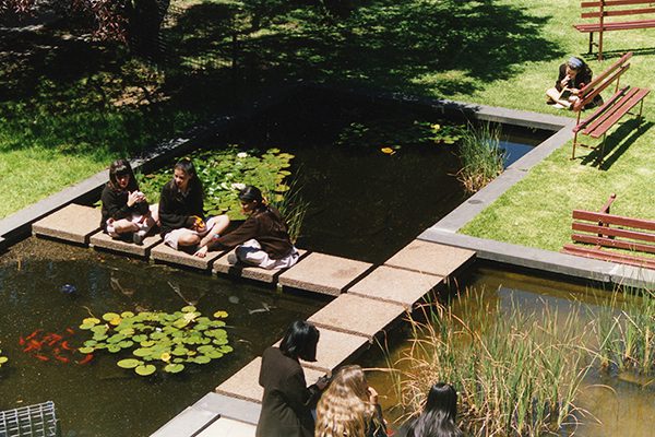 Fish Pond