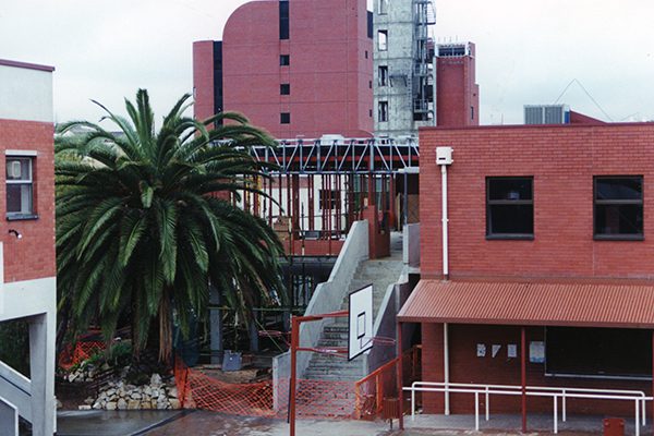 New wing for library copy