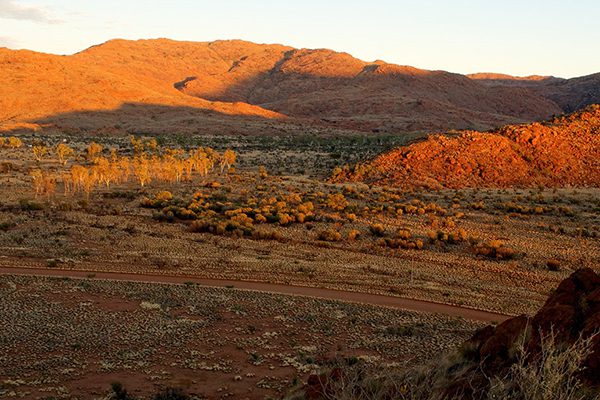 APY Lands