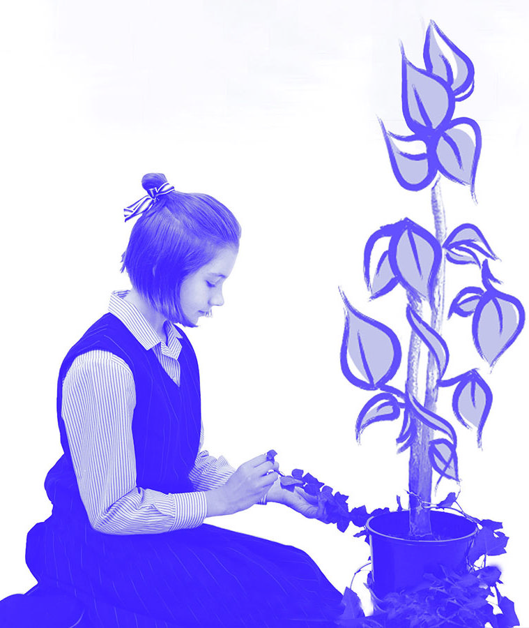 Branding Growth 1
