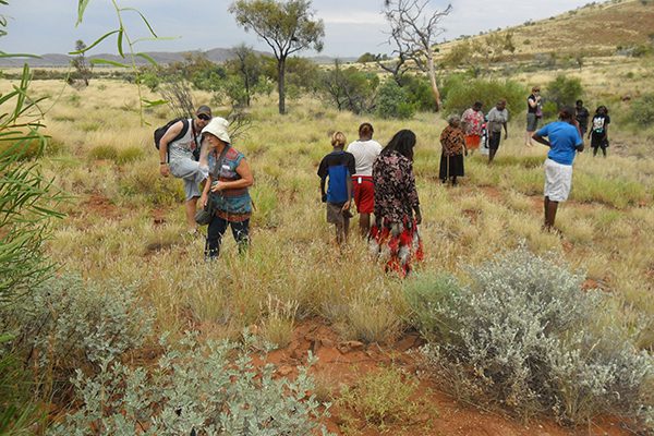 Pipalyatjara walking 2012
