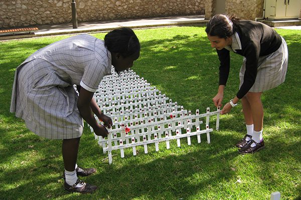 Remembrance crosses