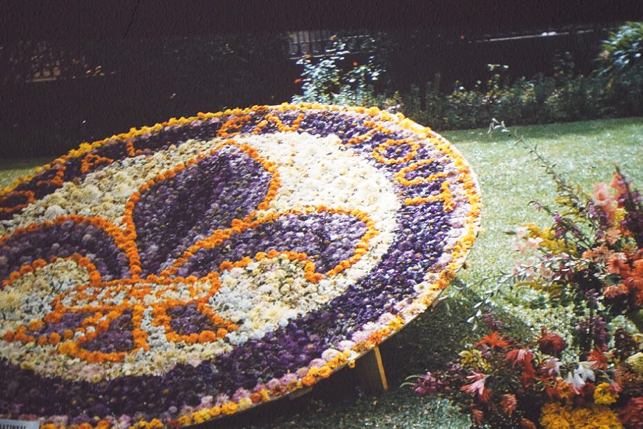 Flower Day featured image