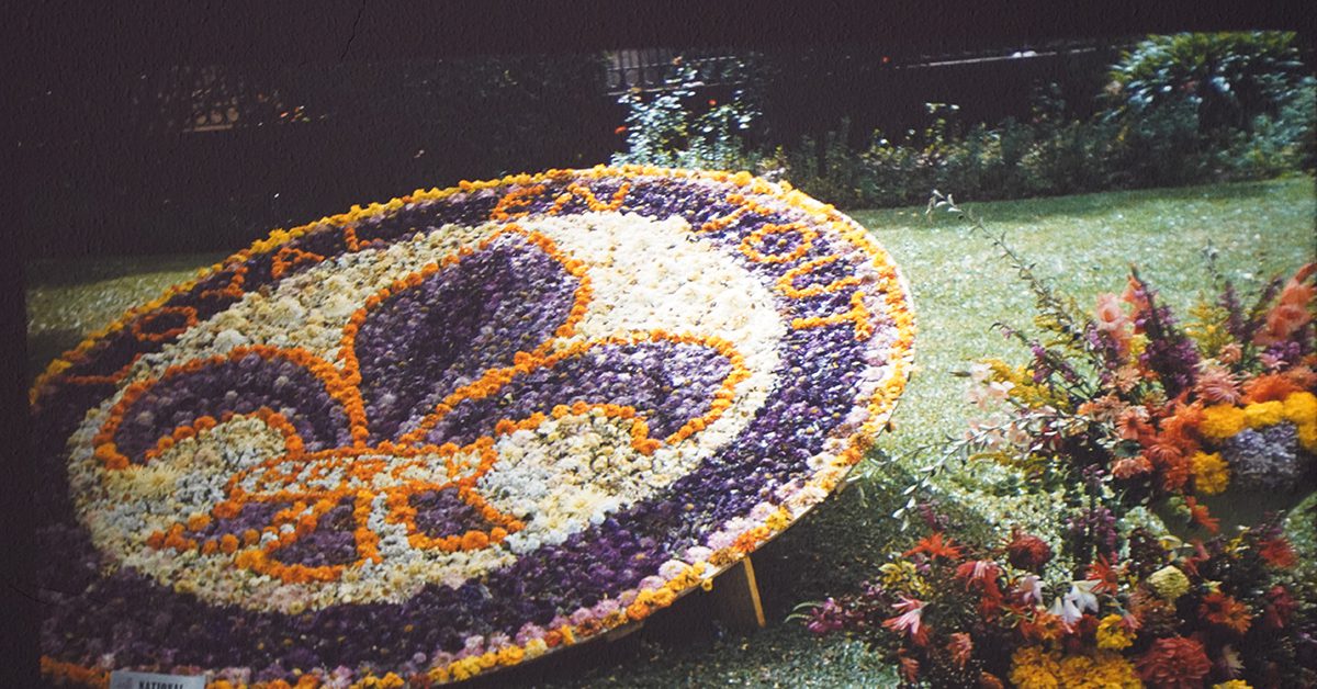 Flower Day featured image